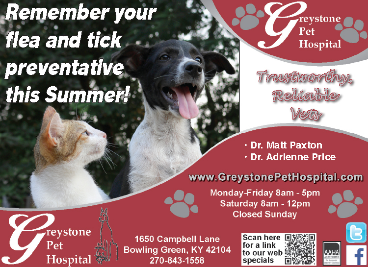 Remember your flea and tick preventative from Greystone Pet Hospital