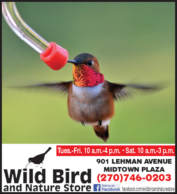 Let the folks at the Wild Bird and Nature Store help make your backyard a preserve for birds.