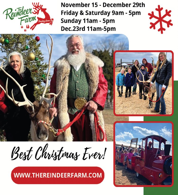 Enjoy the best Christmas experience ever at the Reindeer Farm.